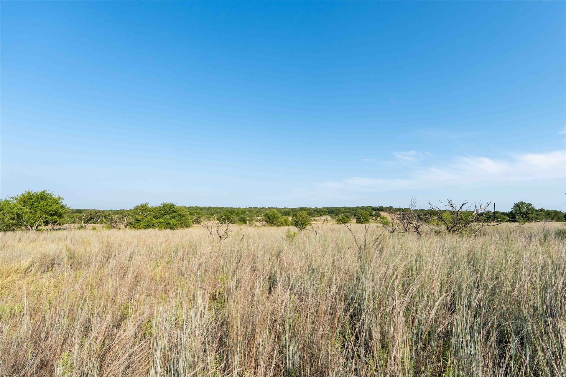 25 acres in Clay County - photo 6