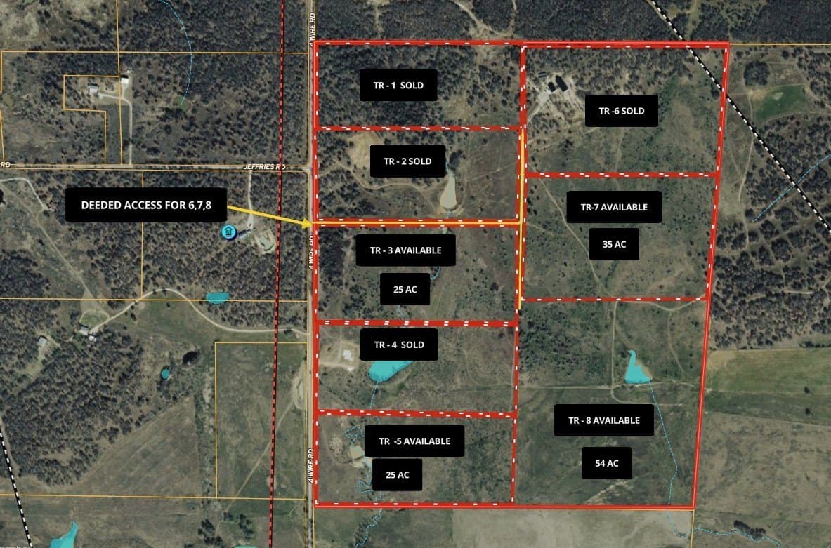 25 acres in Clay County - photo 16