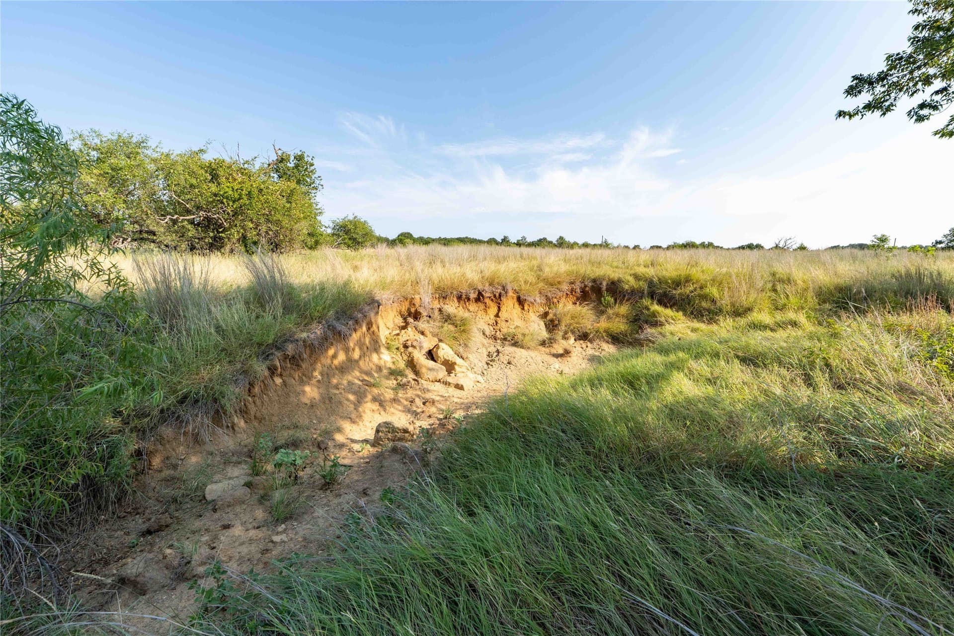 25 acres in Clay County - photo 9