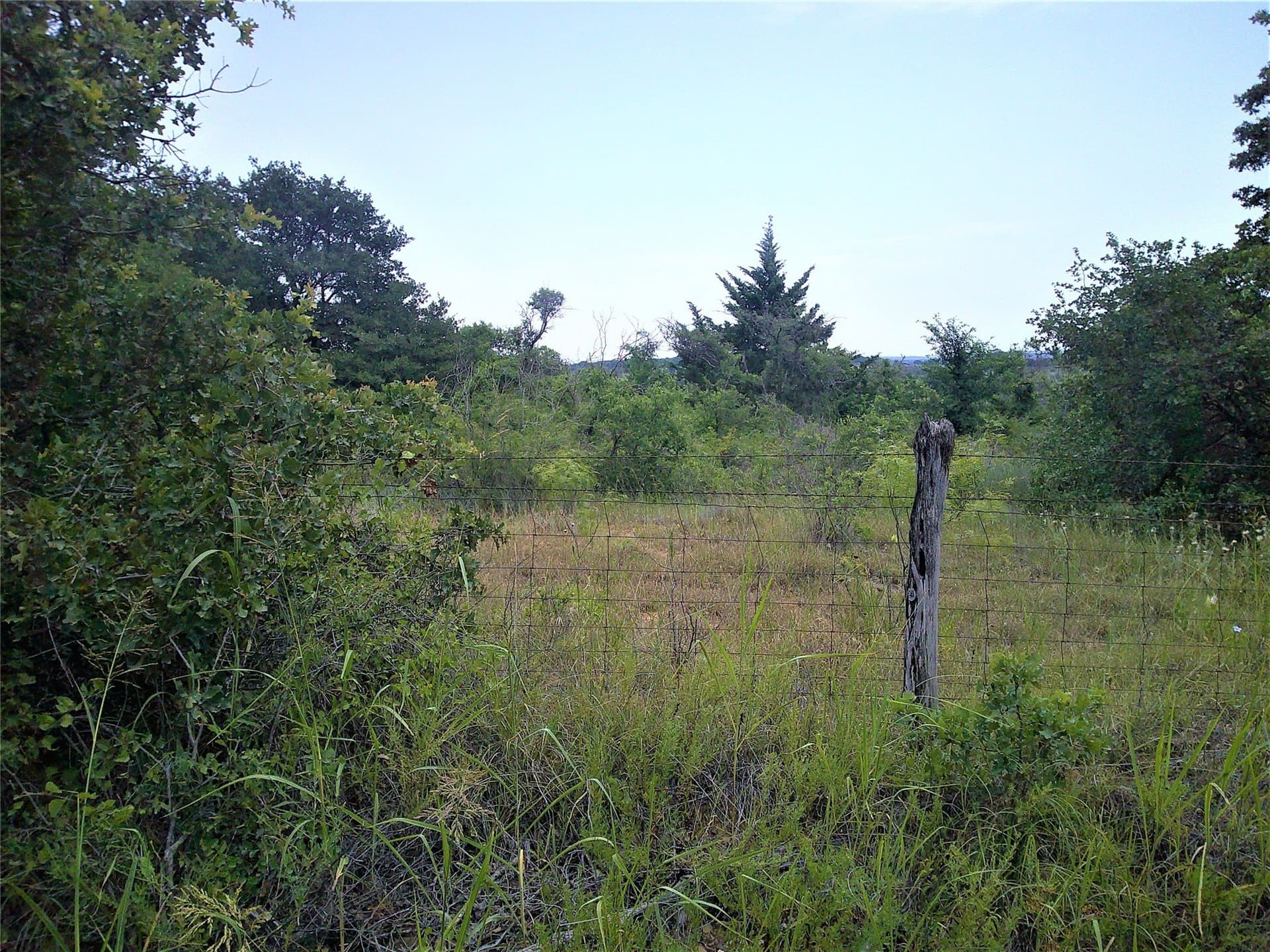 25 acres in Clay County - photo 11