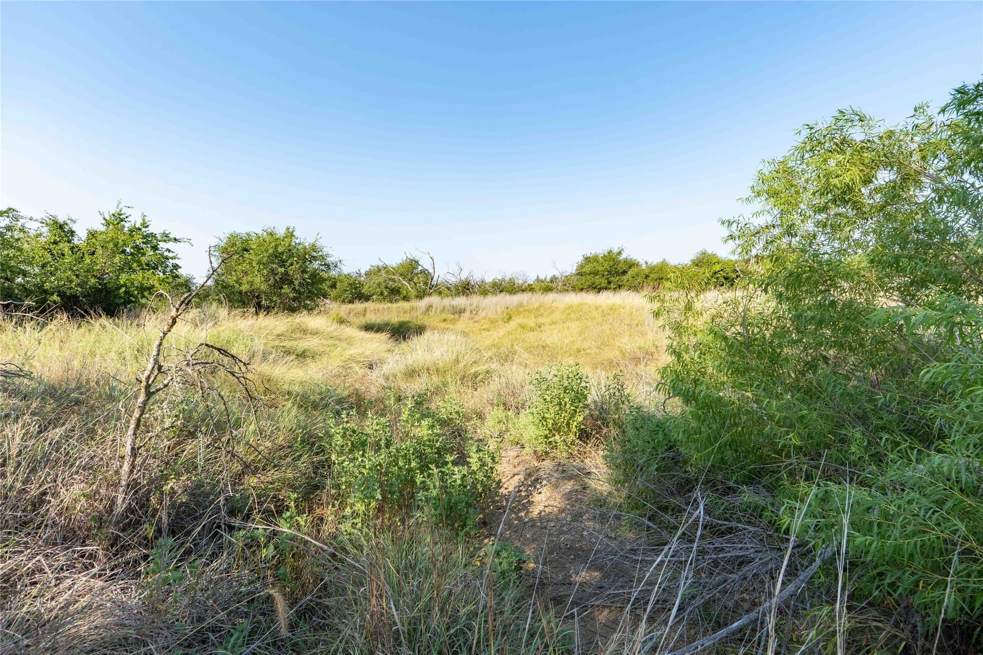 25 acres in Clay County - photo 10