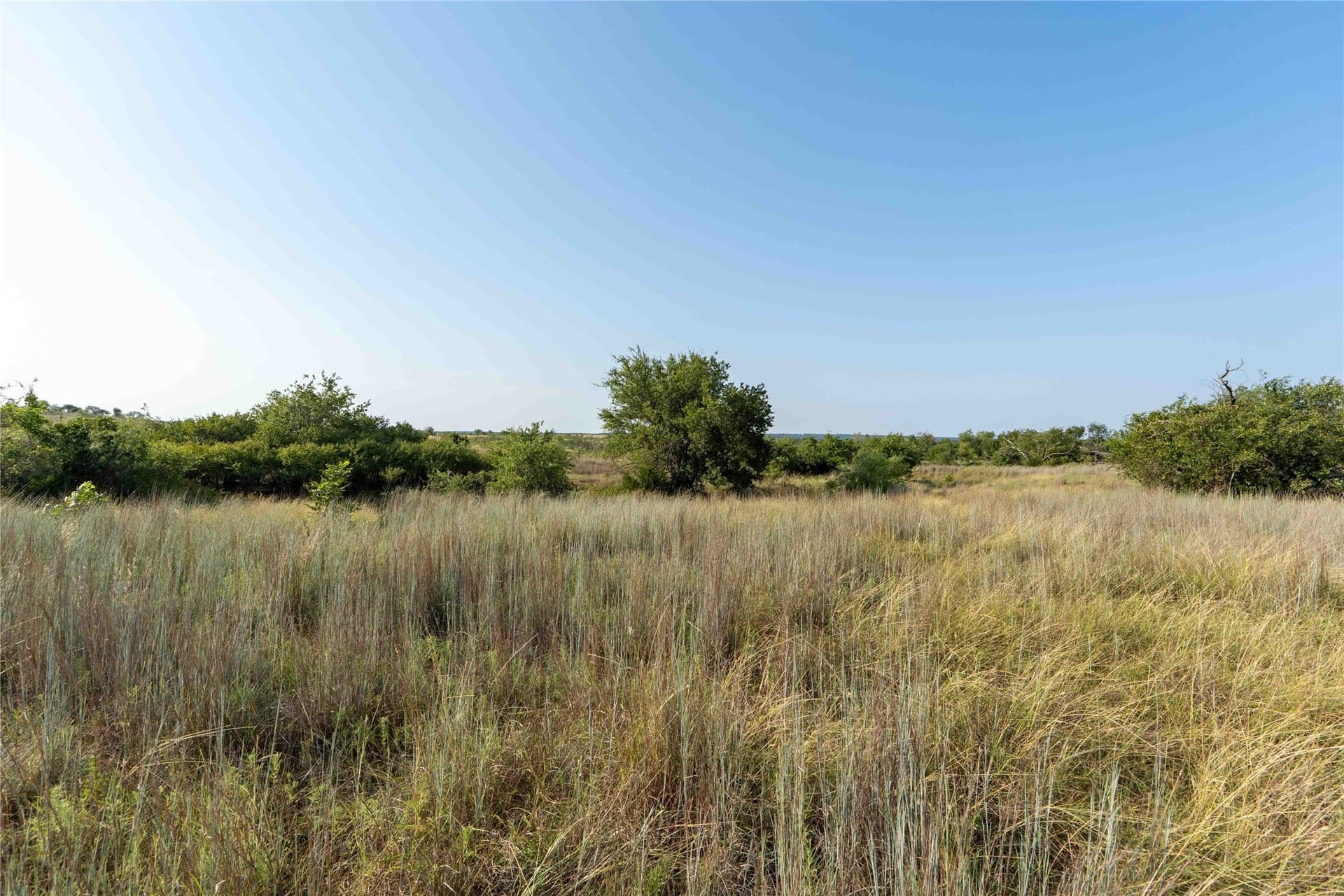 25 acres in Clay County - photo 7