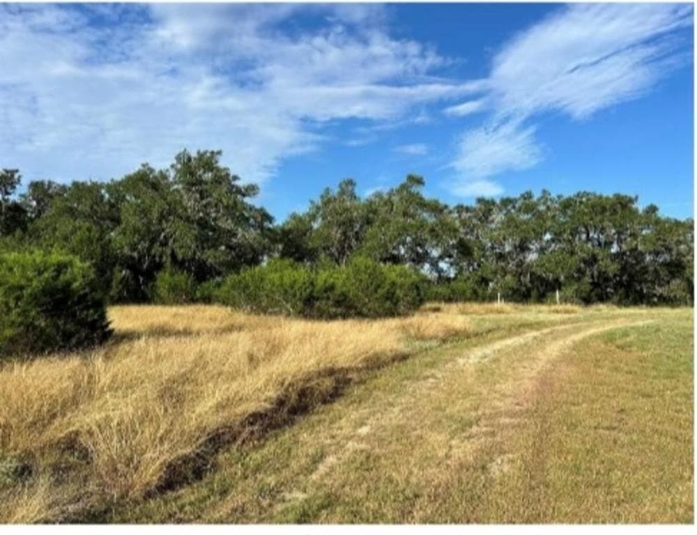 115.4 acres in Comal County gallery image 3