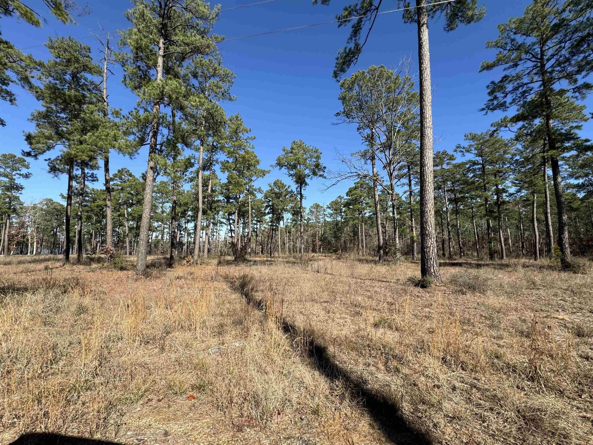 1 acres in Texas County - photo 6