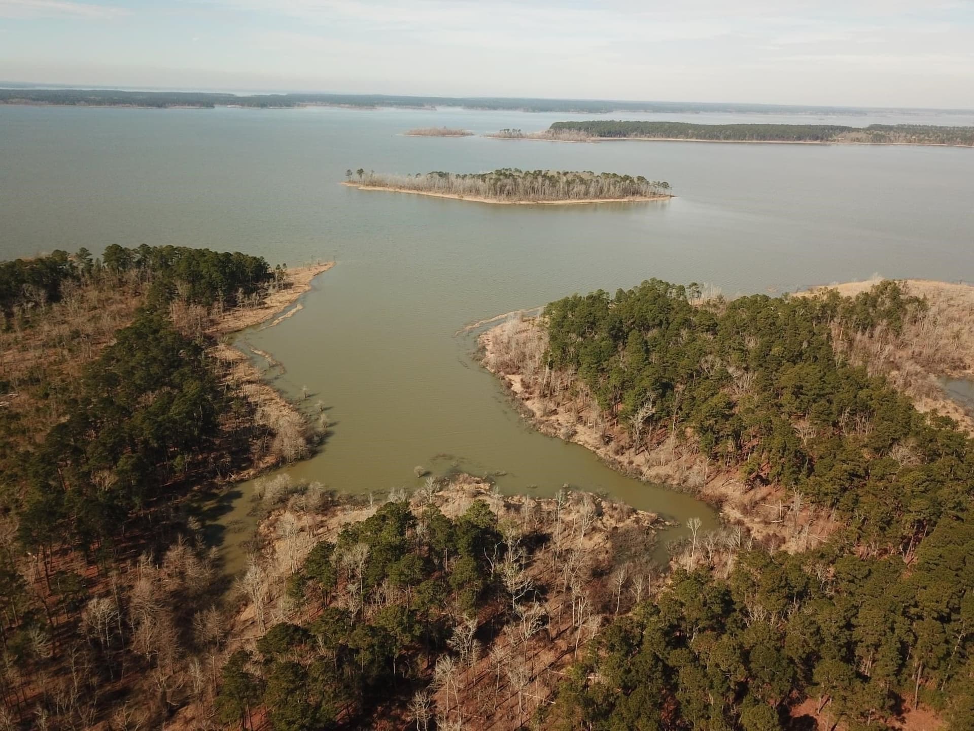 1 acres in Texas County - photo 7
