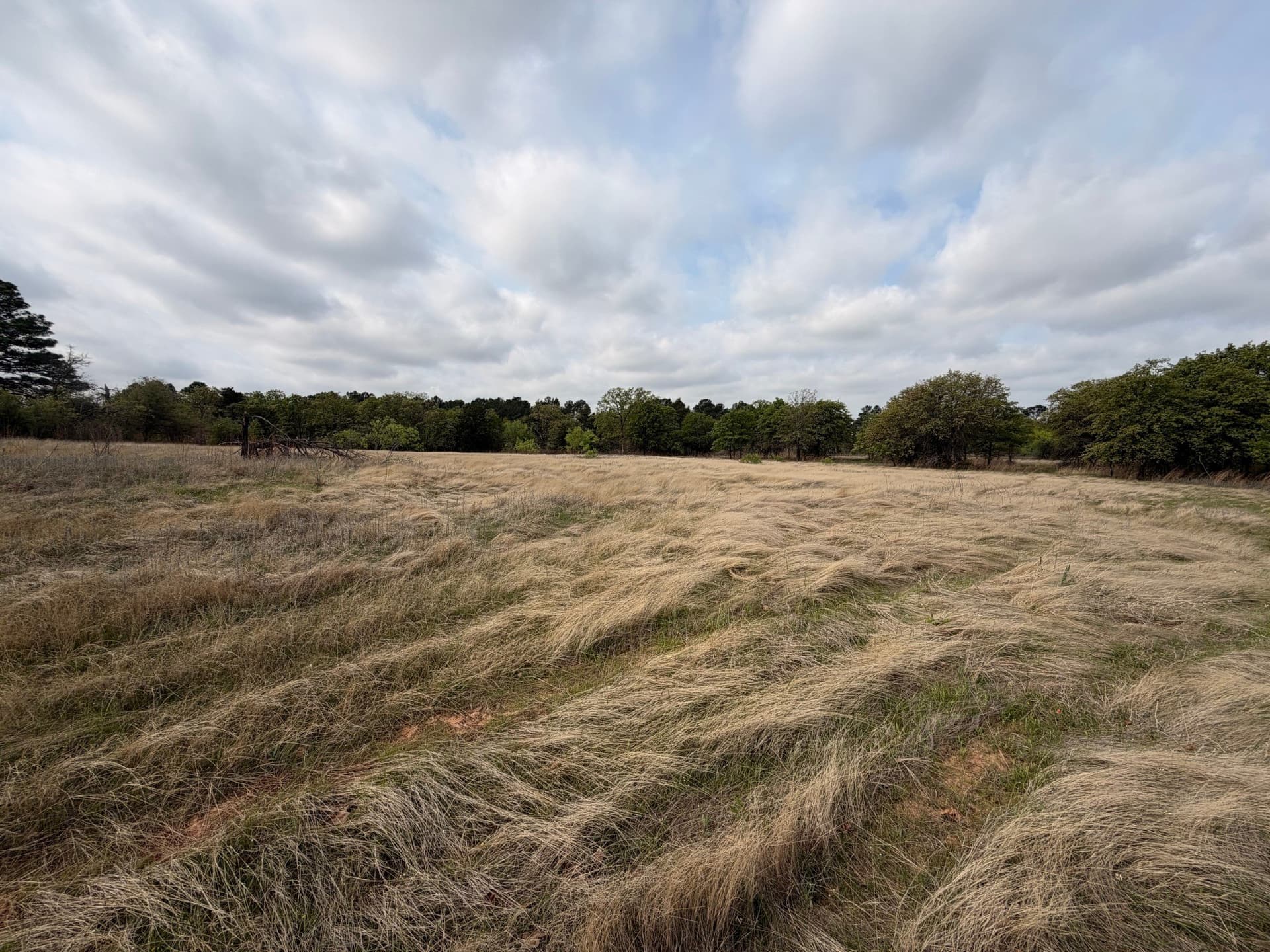 126.49 acres in Wise County - photo 36