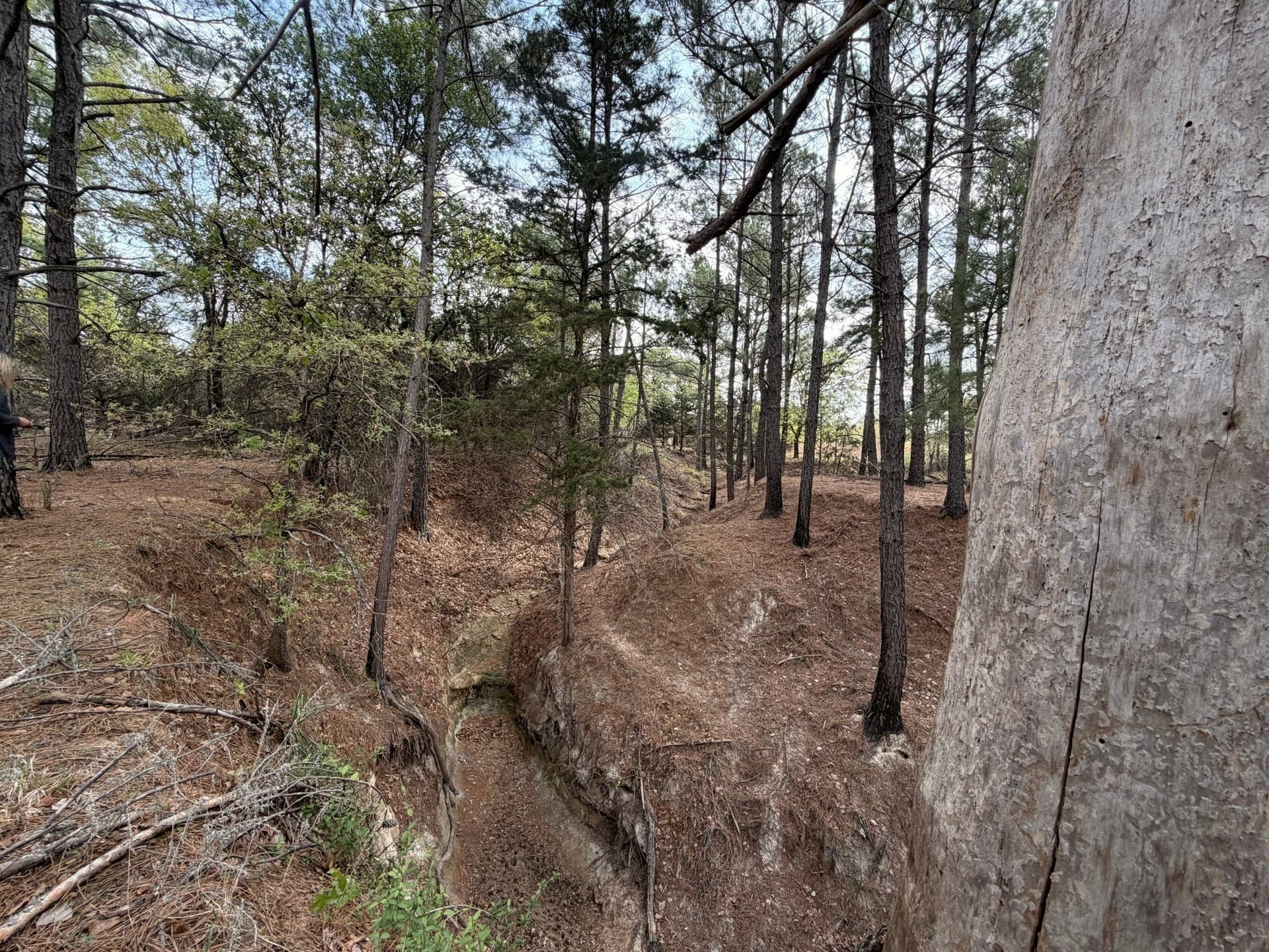 126.49 acres in Wise County - photo 15