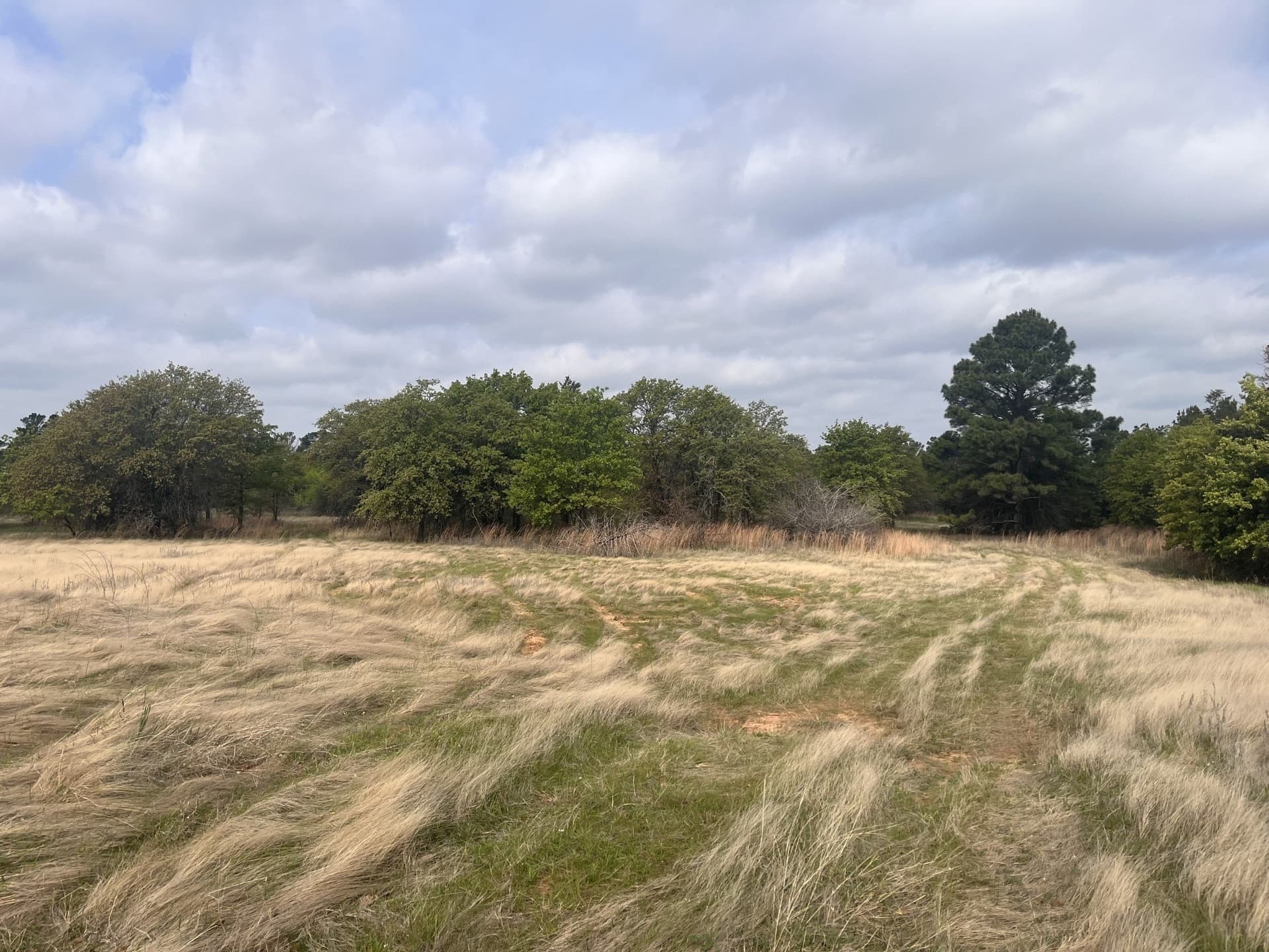 126.49 acres in Wise County - photo 21