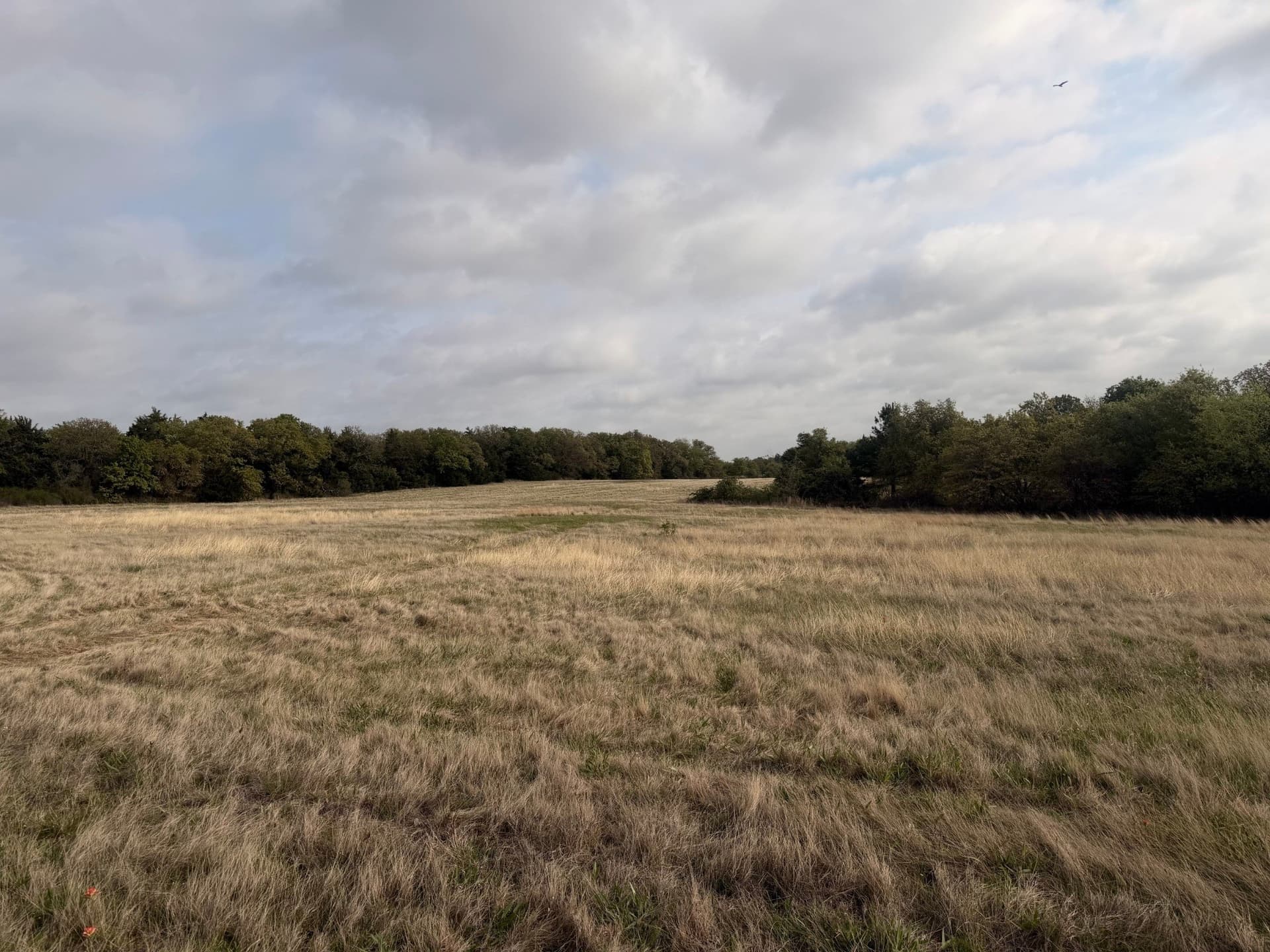 126.49 acres in Wise County - photo 19