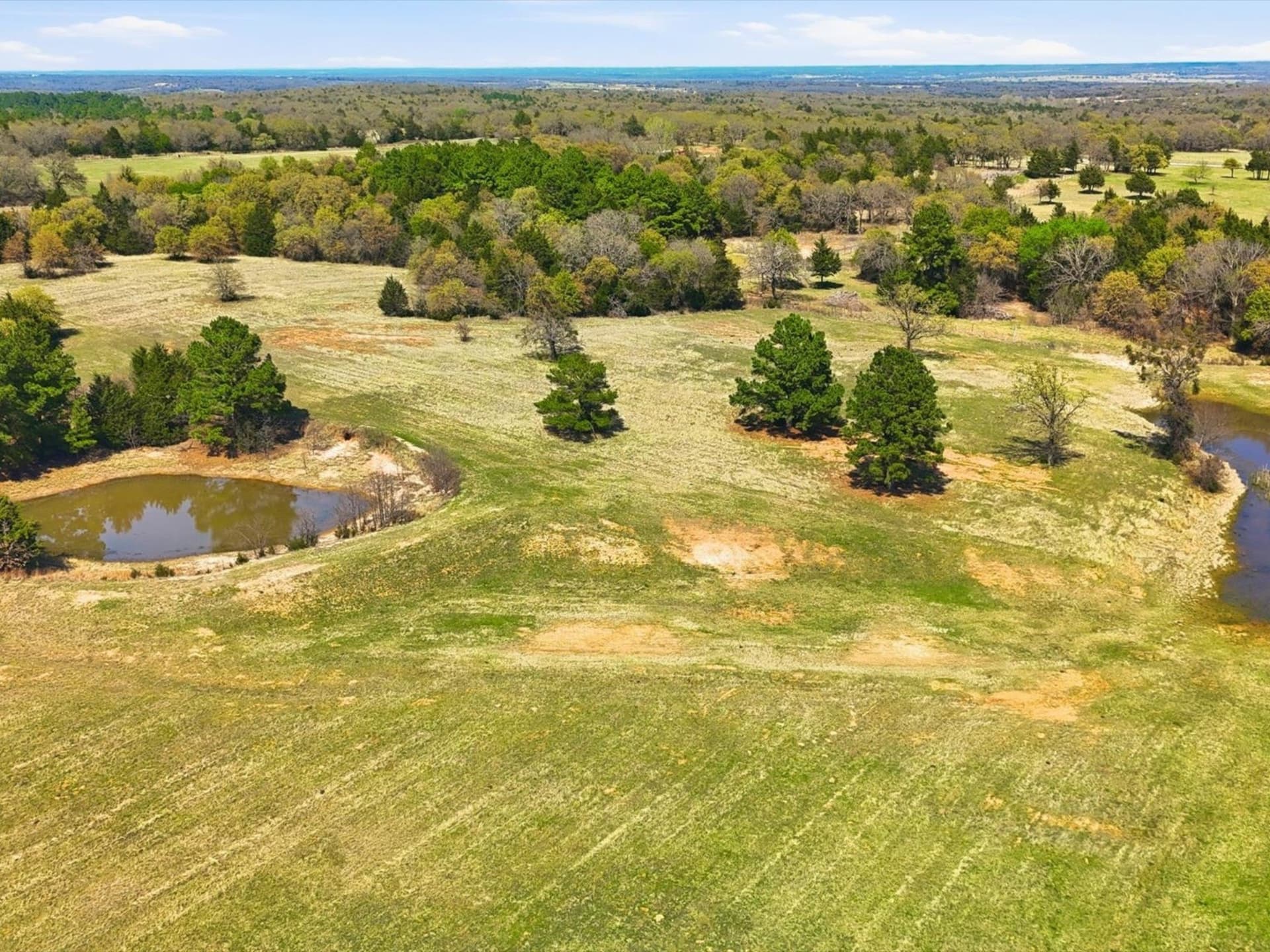 126.49 acres in Wise County - photo 9