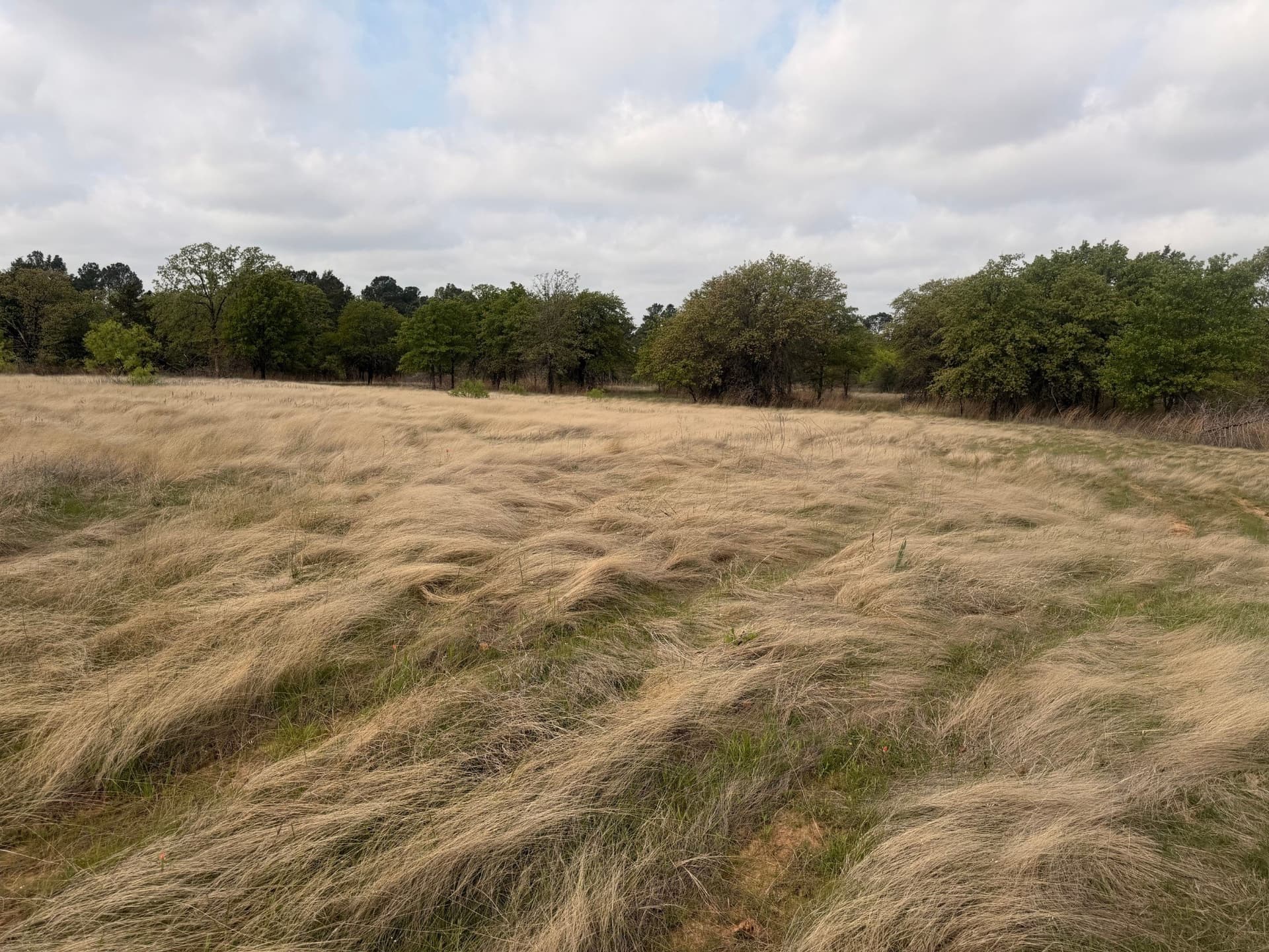 126.49 acres in Wise County - photo 40