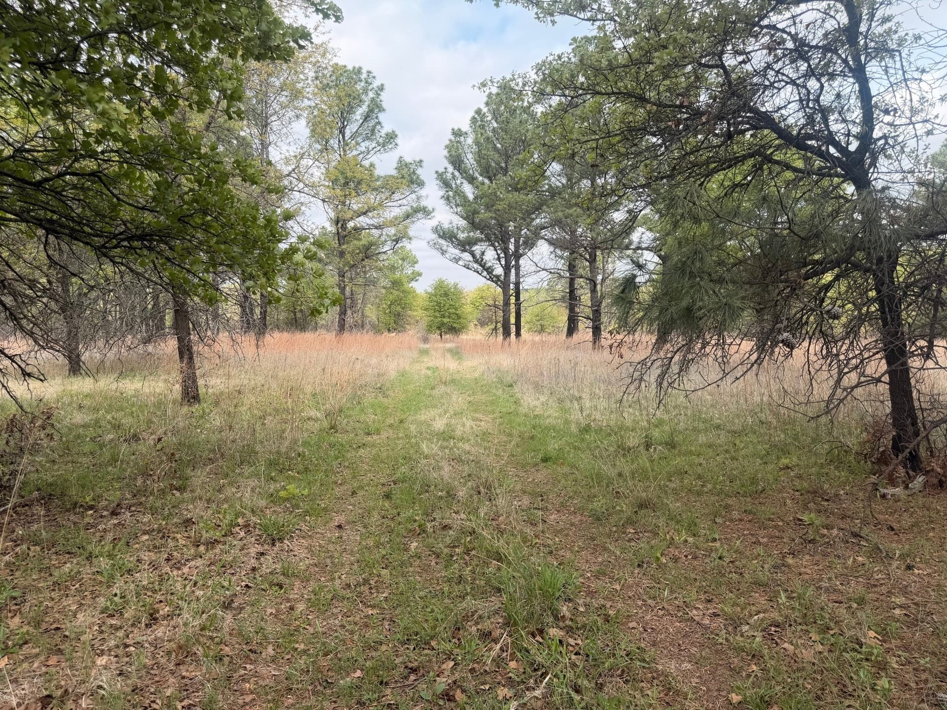 126.49 acres in Wise County - photo 31