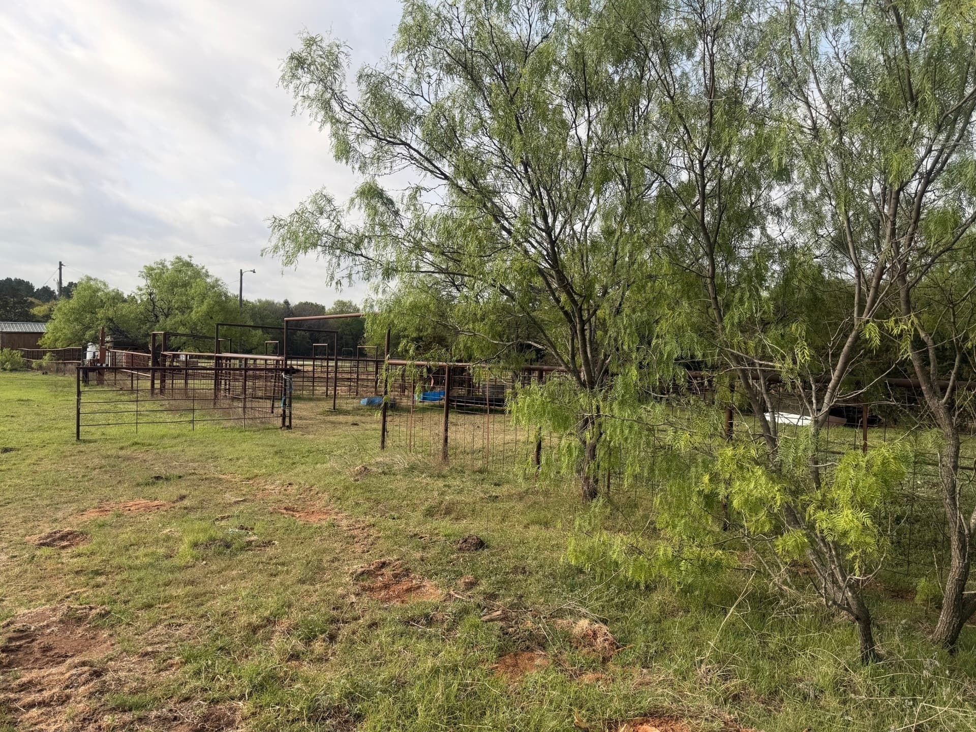 126.49 acres in Wise County - photo 24