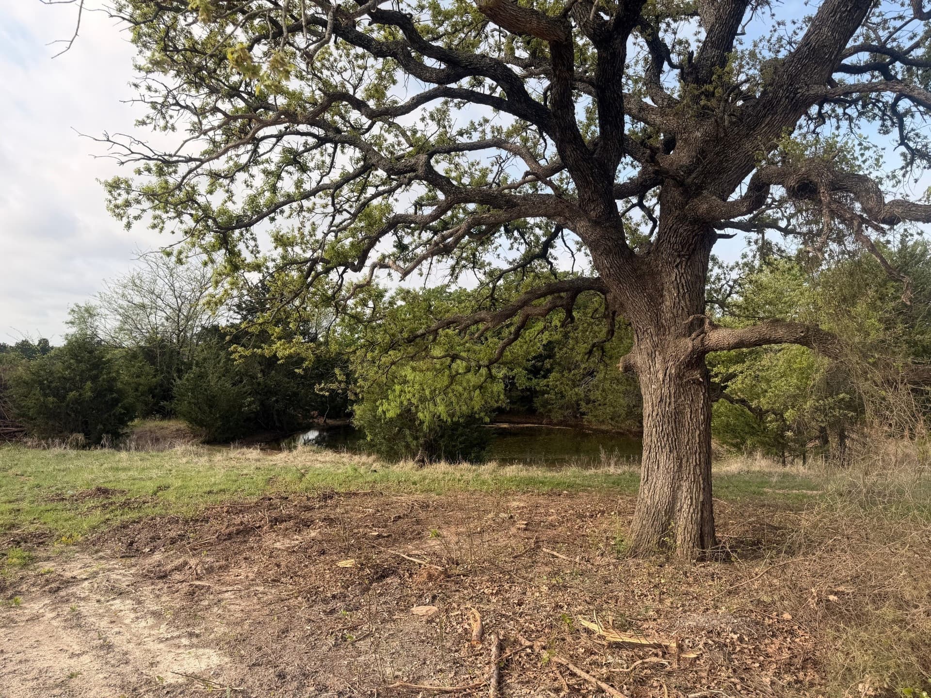 126.49 acres in Wise County - photo 20
