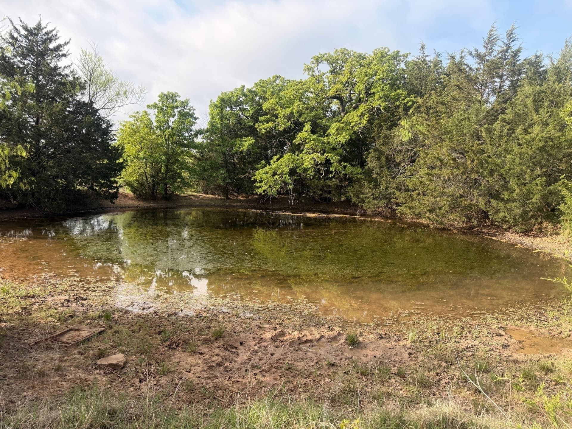 126.49 acres in Wise County - photo 13