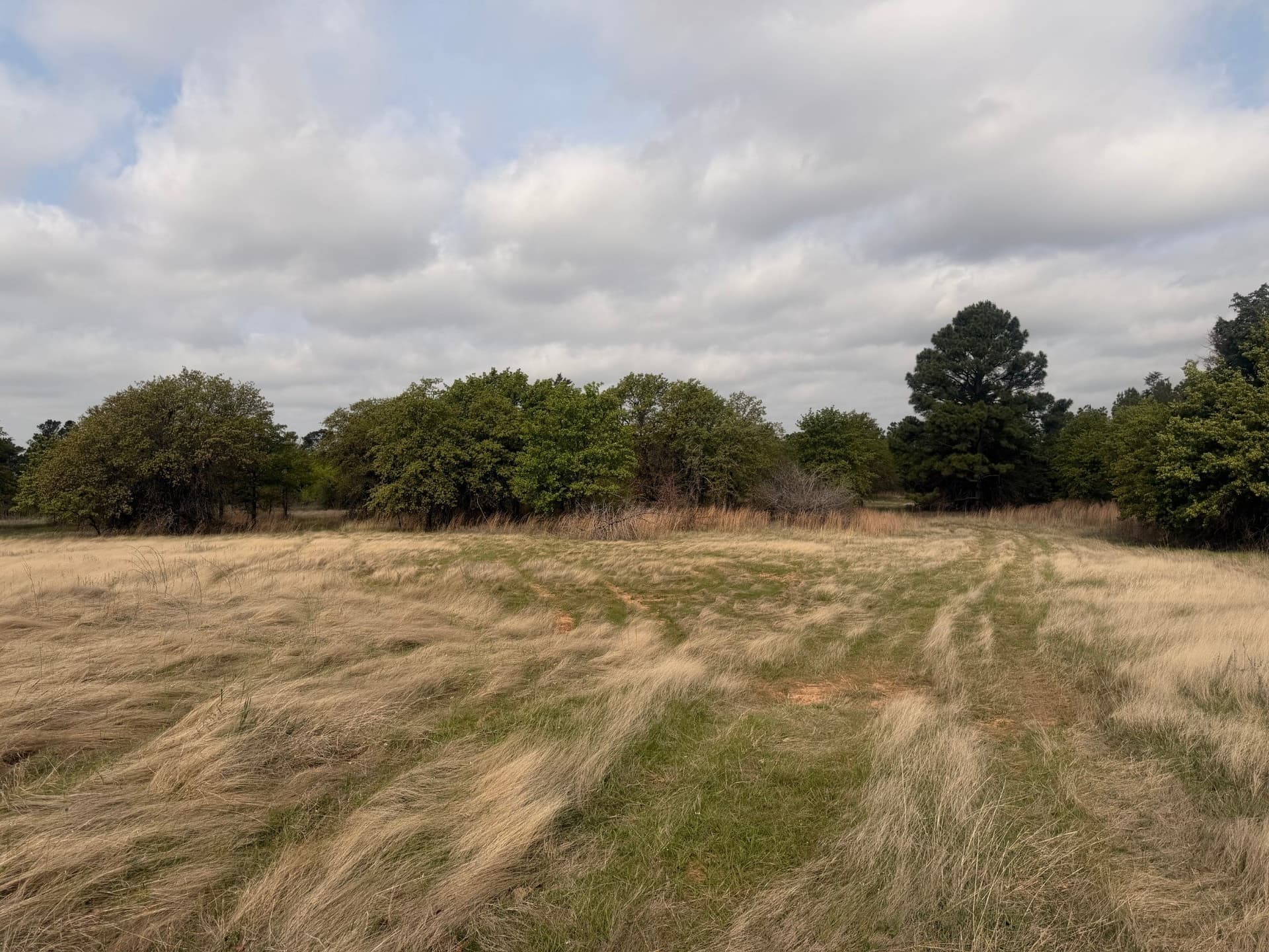 126.49 acres in Wise County - photo 39