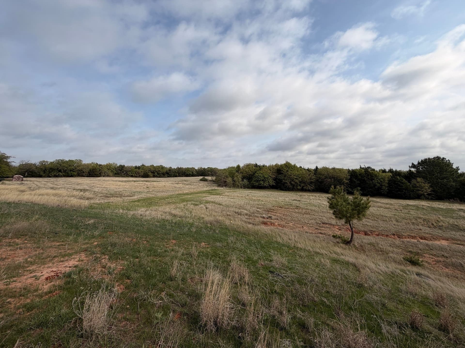 126.49 acres in Wise County - photo 35