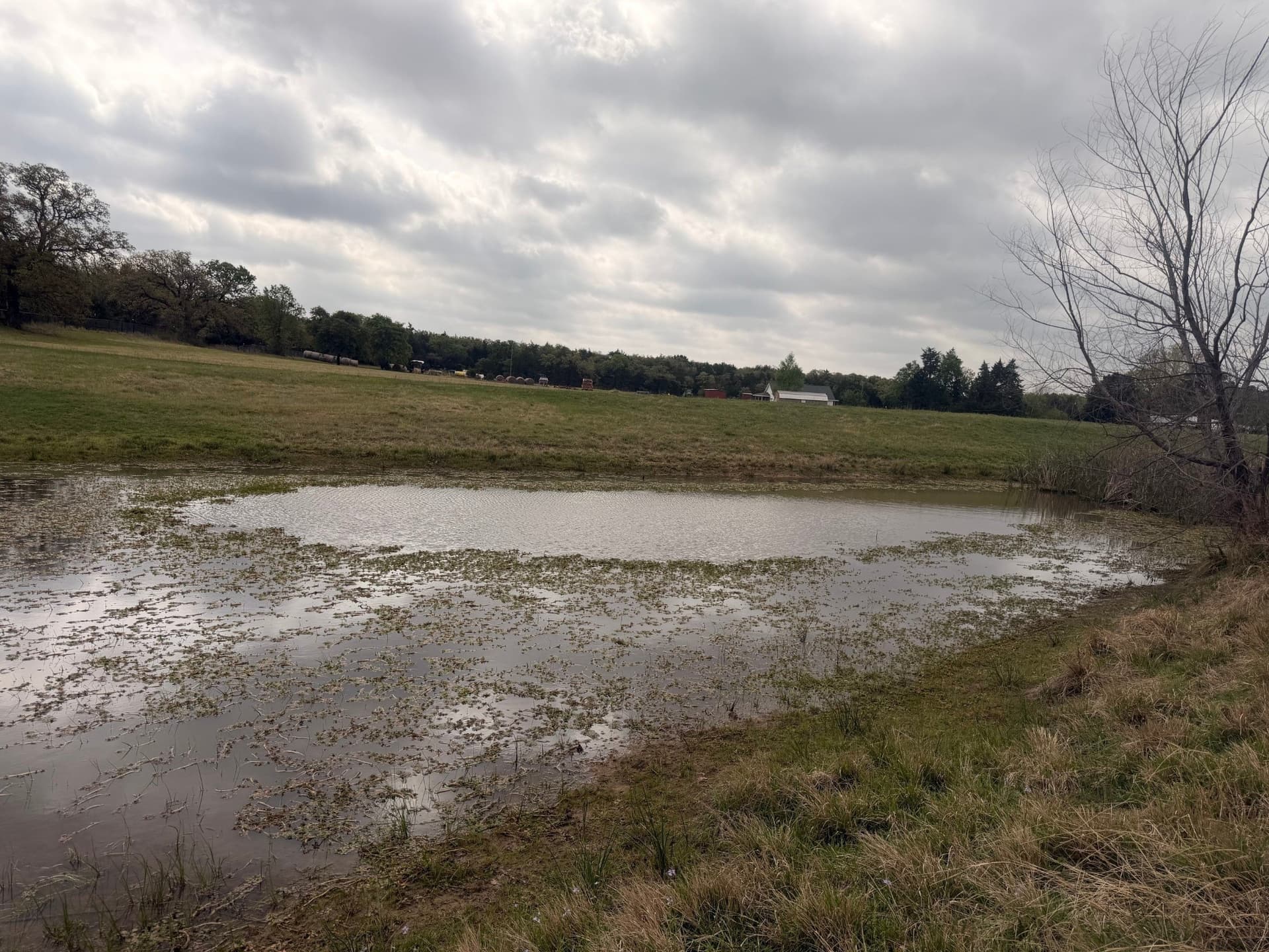 126.49 acres in Wise County - photo 17