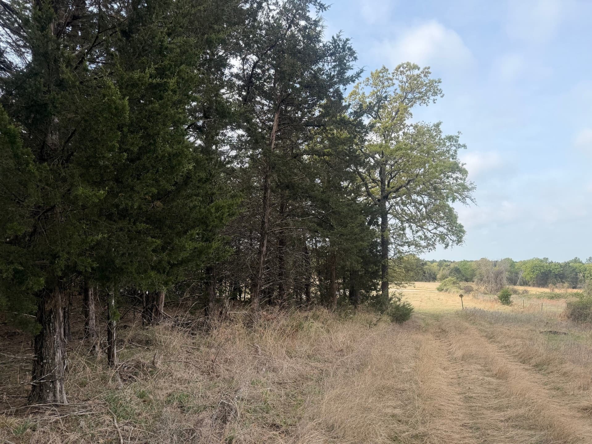 126.49 acres in Wise County - photo 23