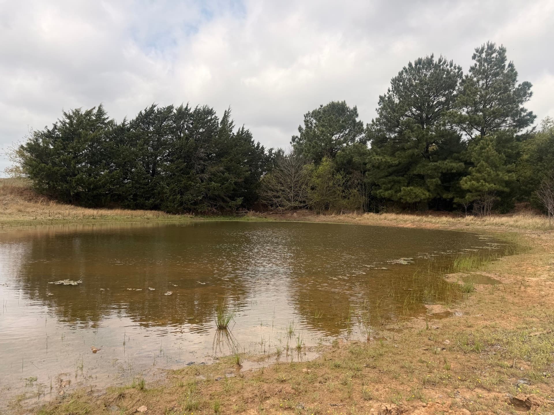 126.49 acres in Wise County - photo 16