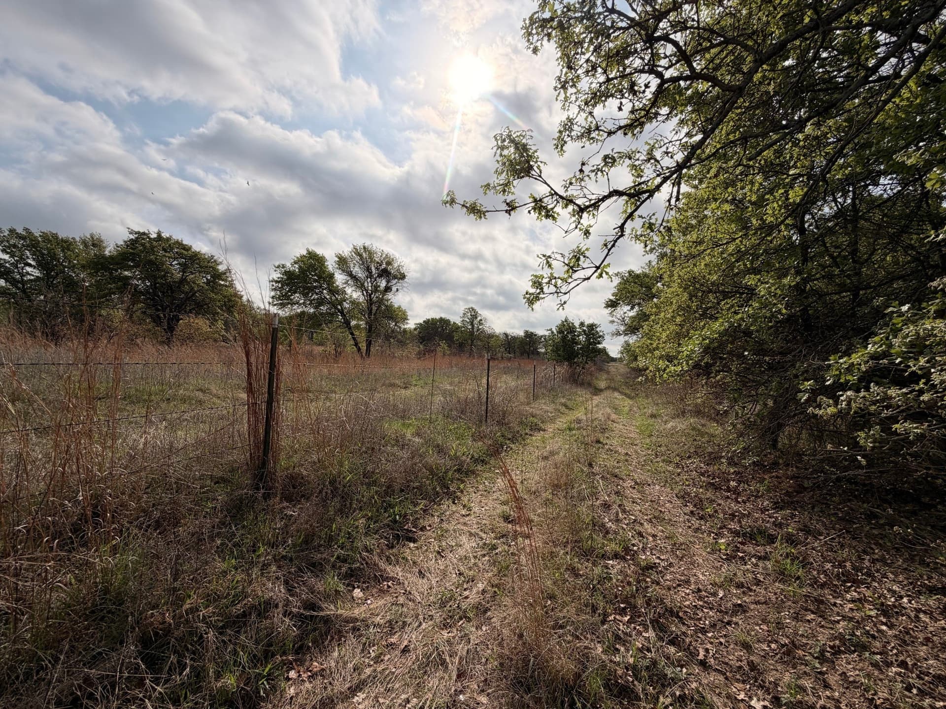 126.49 acres in Wise County - photo 32