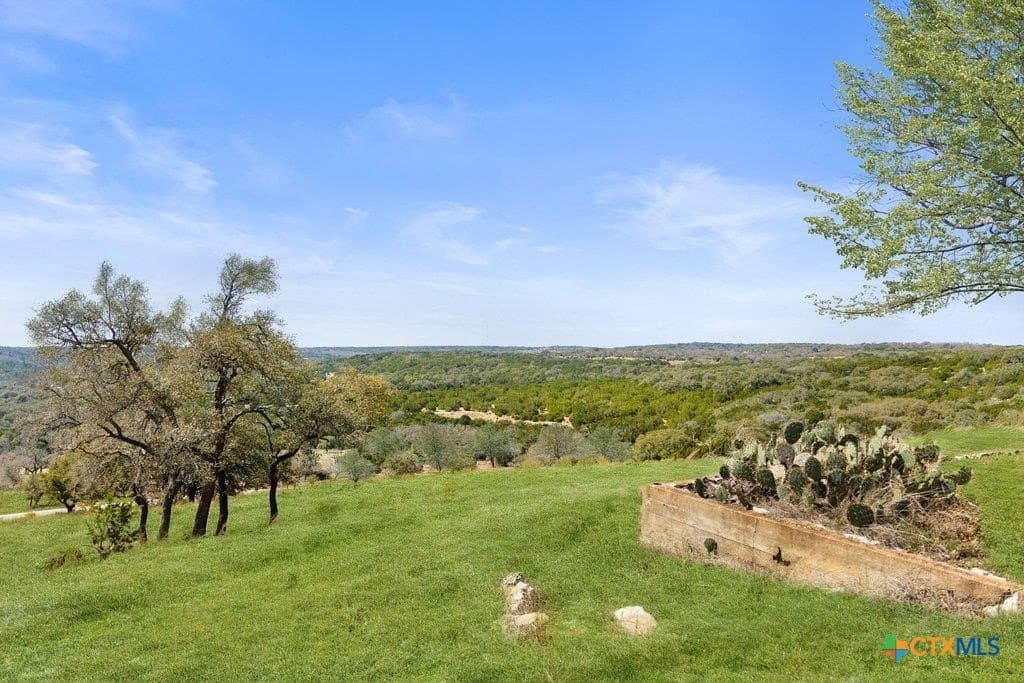 10 acres in Gillespie County - photo 37