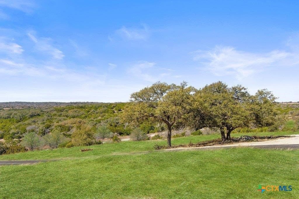 10 acres in Gillespie County - photo 35