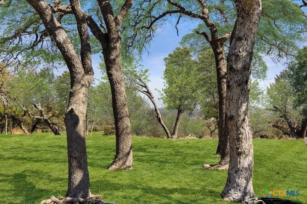 10 acres in Gillespie County - photo 39