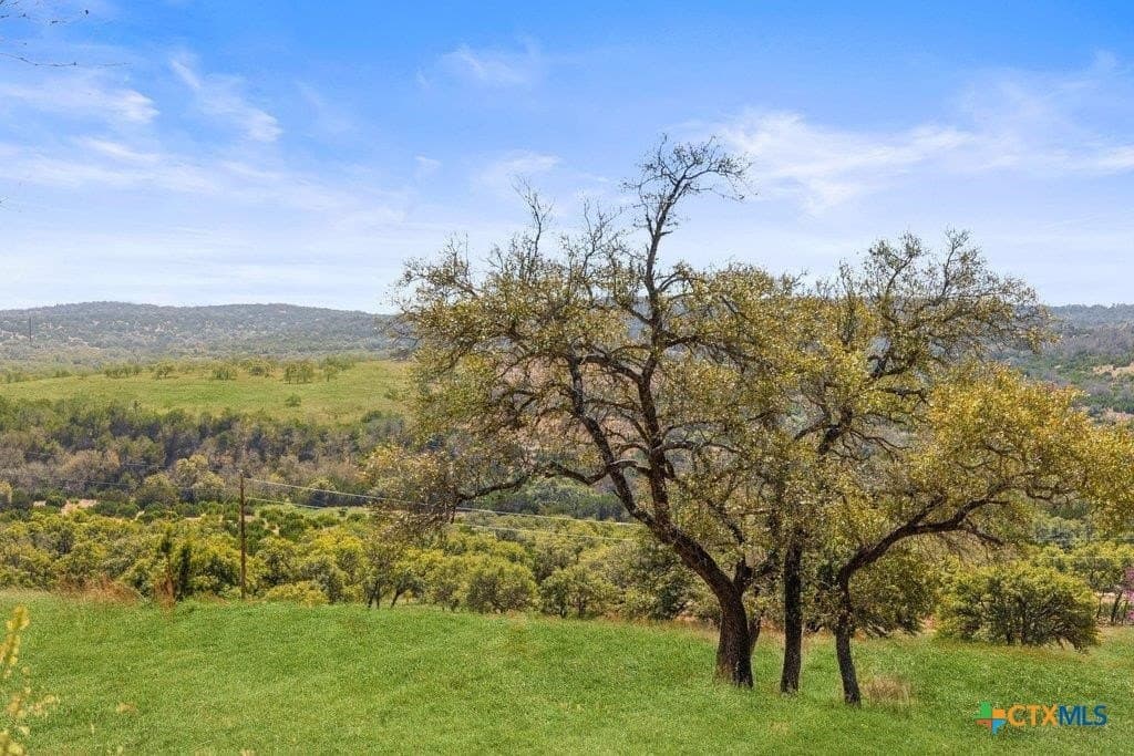 10 acres in Gillespie County - photo 33