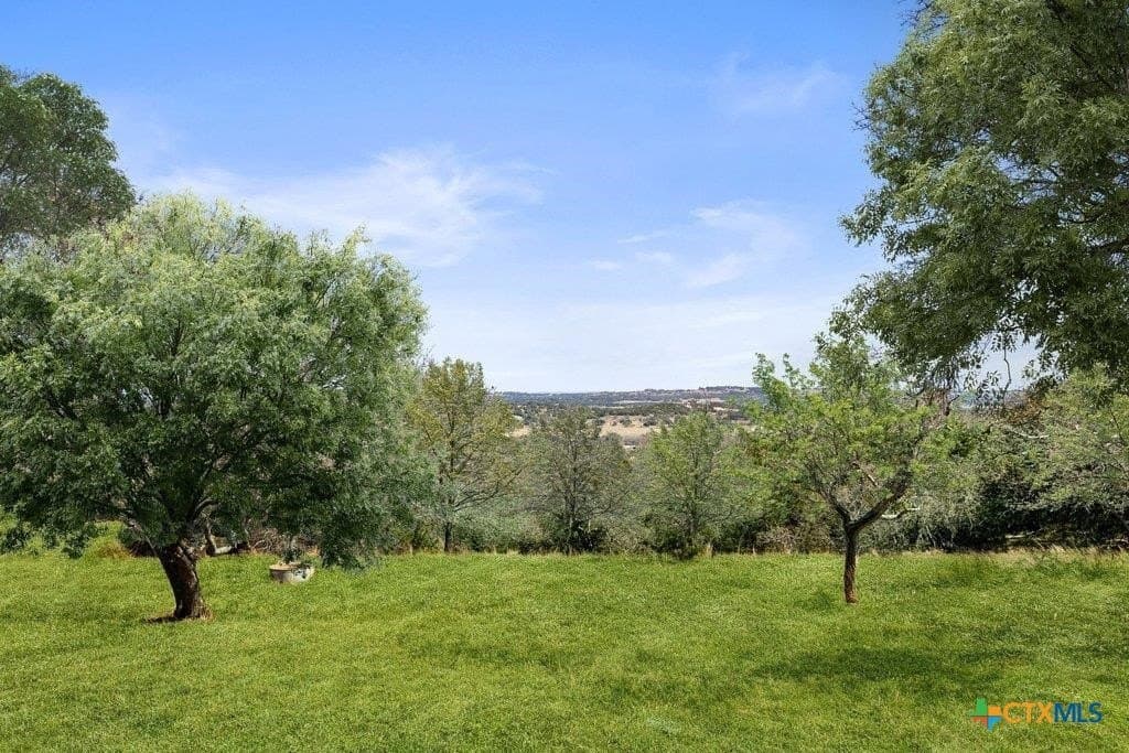 10 acres in Gillespie County - photo 38