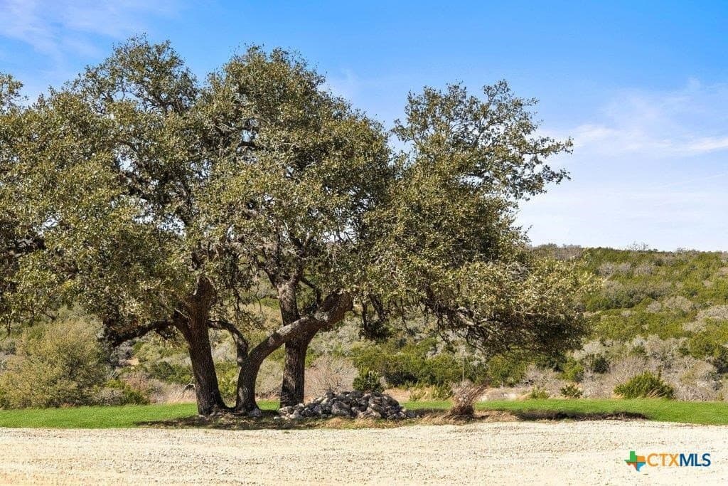 10 acres in Gillespie County - photo 32