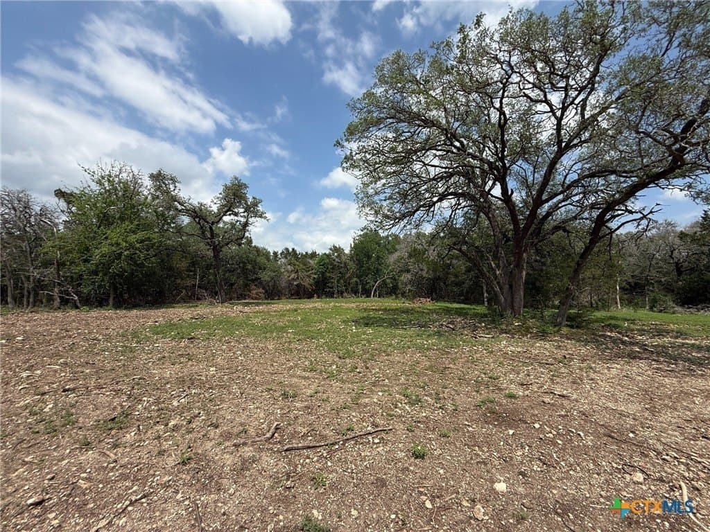 1.37 acres in Bell County gallery image 4