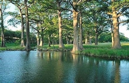 5.17 acres in Kerr County - photo 7