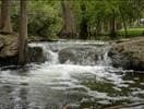 0.25 acres in Comal County - photo 8