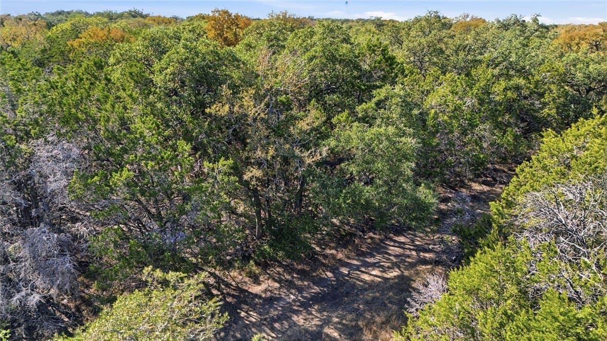 0.25 acres in Comal County - photo 11