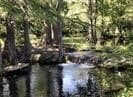 0.25 acres in Comal County - photo 9