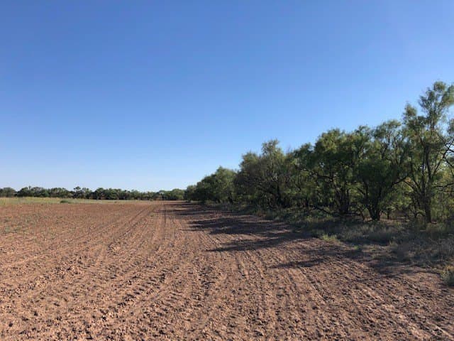 202 acres in Fisher County - photo 15