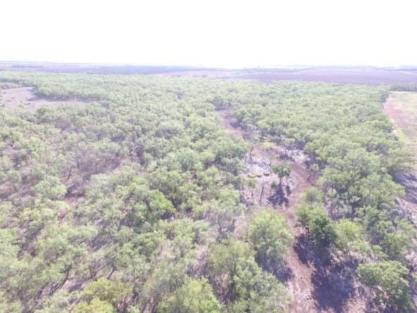 202 acres in Fisher County - photo 26