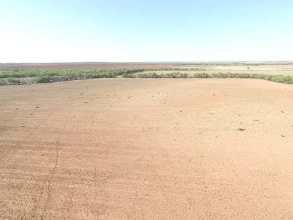 202 acres in Fisher County - photo 20