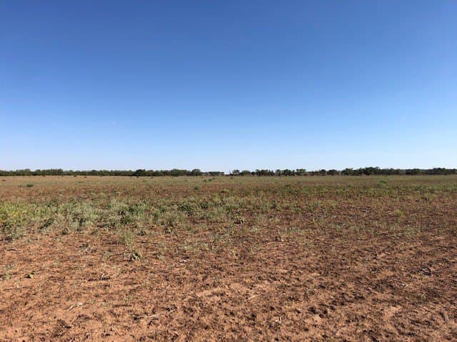 202 acres in Fisher County - photo 17