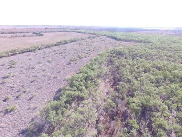 202 acres in Fisher County - photo 25