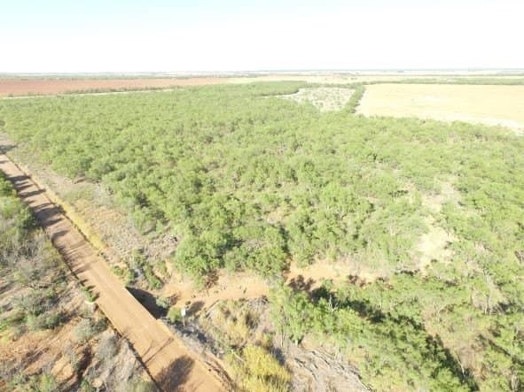 202 acres in Fisher County - photo 18