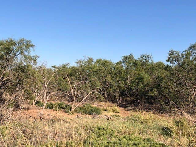 202 acres in Fisher County - photo 11