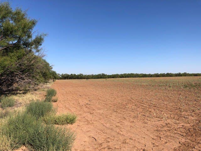 202 acres in Fisher County - photo 14