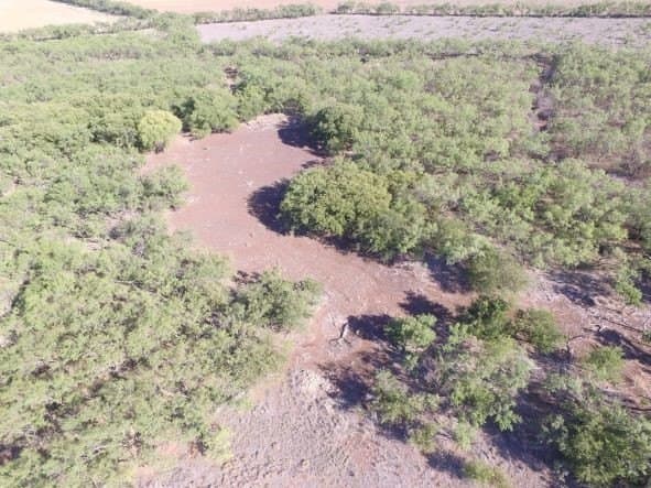 202 acres in Fisher County - photo 27