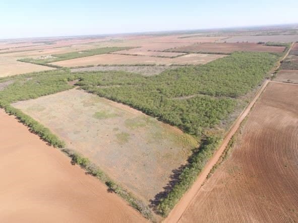 202 acres in Fisher County - photo 28