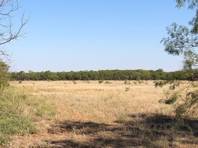 202 acres in Fisher County - photo 16