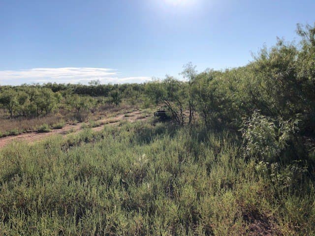 202 acres in Fisher County - photo 9