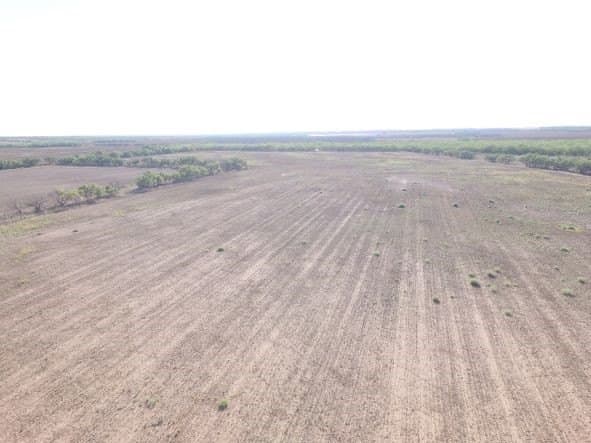 202 acres in Fisher County - photo 19