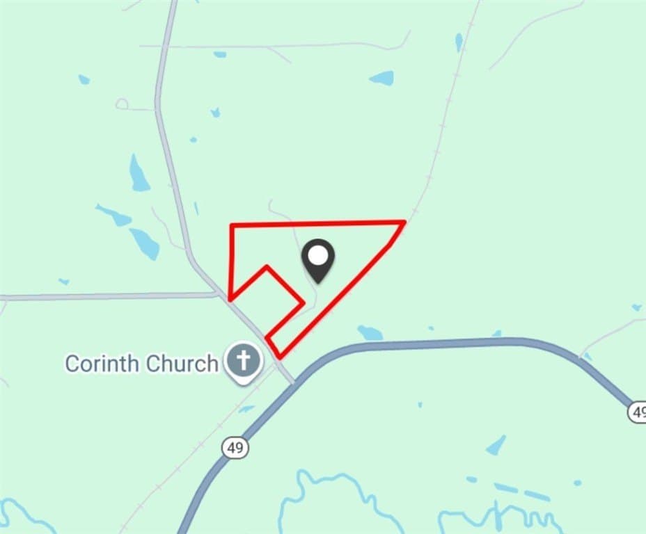 64.91 acres in Marion County gallery image 2